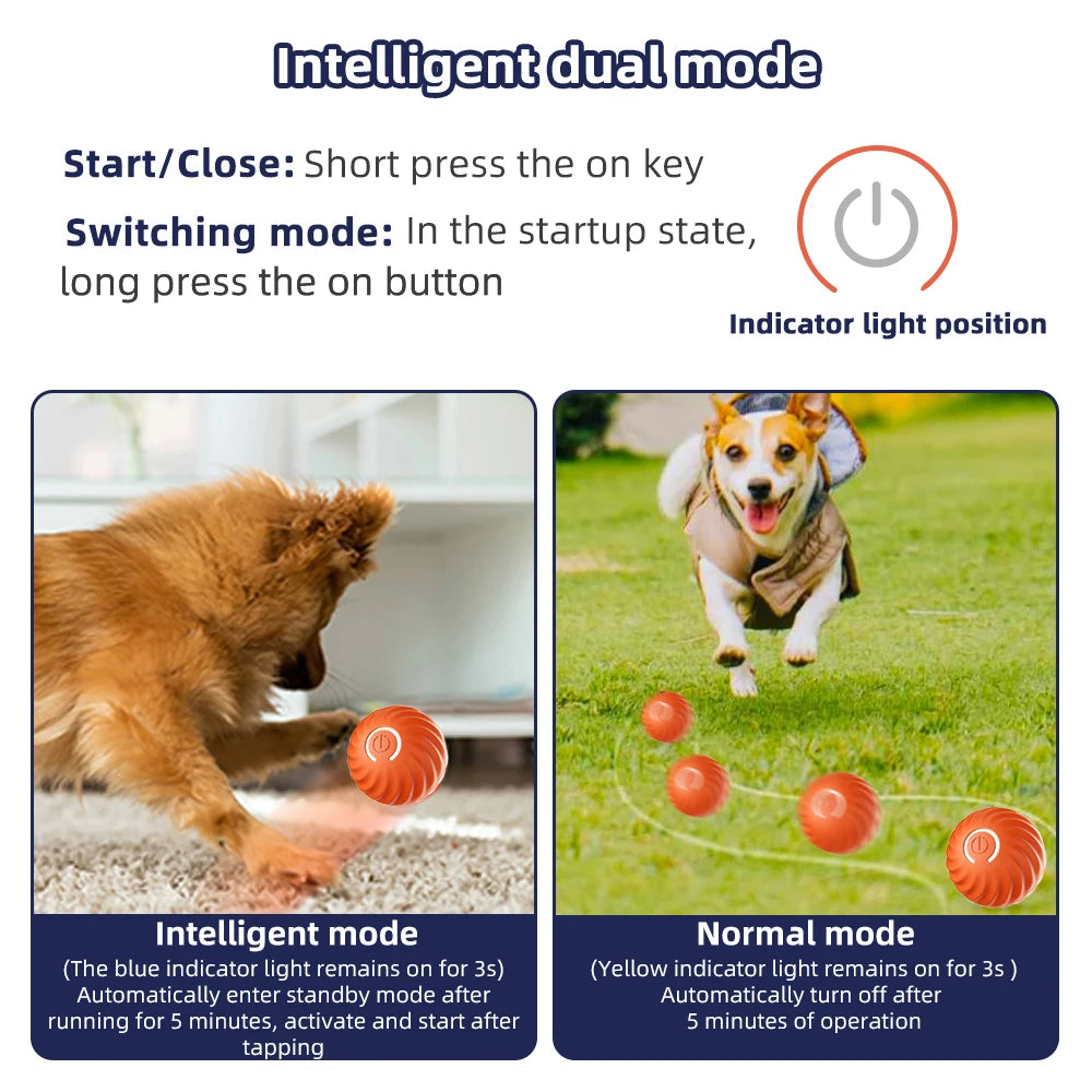 Electronic Interactive Pet Toy