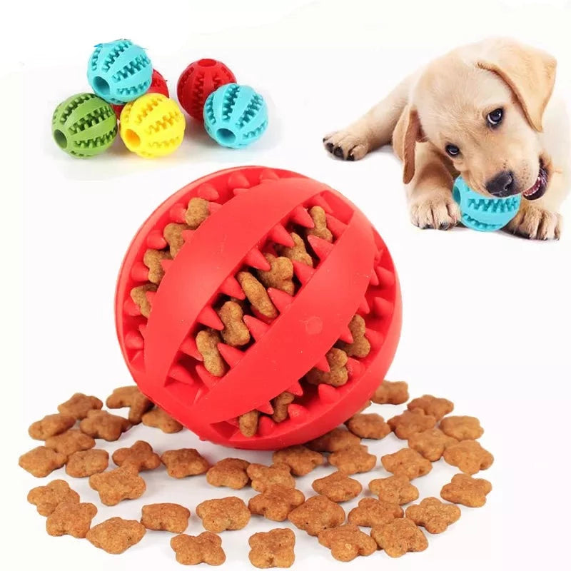 Funny Interactive Elasticity Ball For Dog