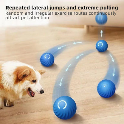 Electronic Interactive Pet Toy