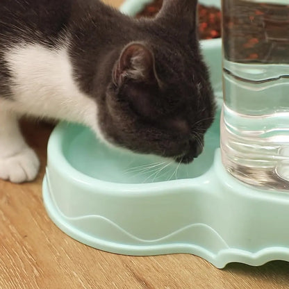 Pet Automatic Feeder Drinking Bowl